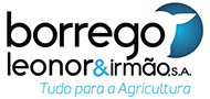 Borrego e leonor